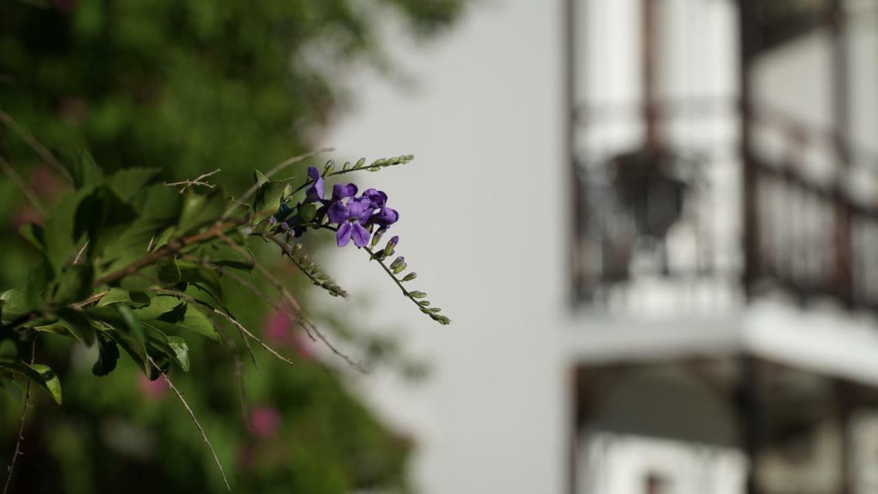 Totelya Hotel Akyaka  Extérieur photo