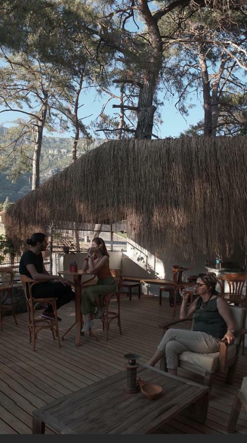 Totelya Hotel Akyaka  Extérieur photo