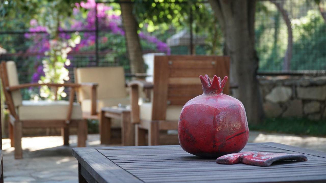 Totelya Hotel Akyaka  Extérieur photo